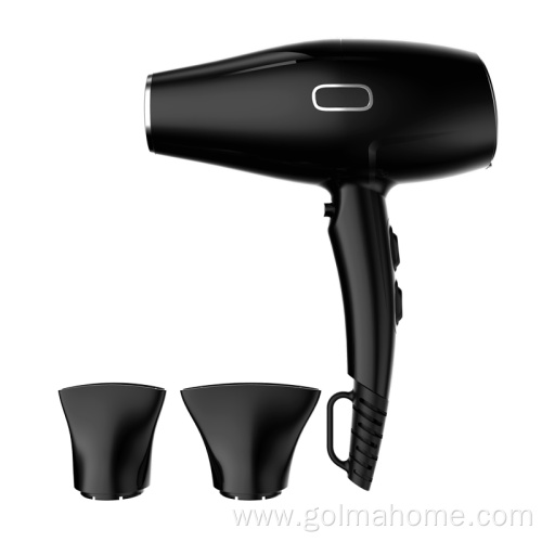 motor AC Motor Hair dryer professional hair blower